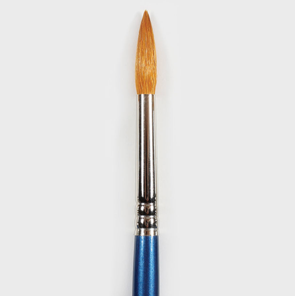 #8 Mayco Pointed Round