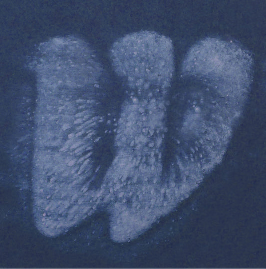 Cobalt Oxide Wash OX-8