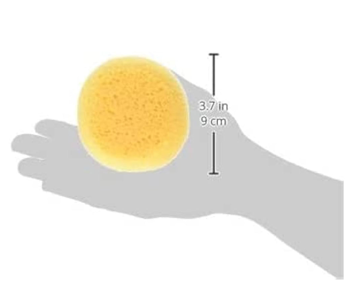 3.5” Sponge