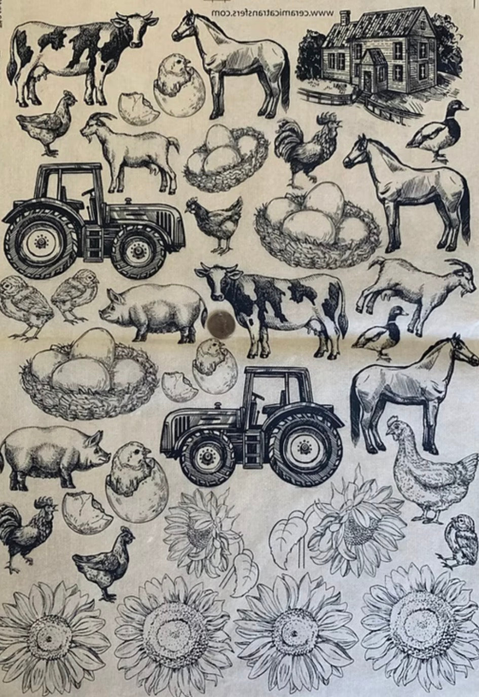 Life on the Farm