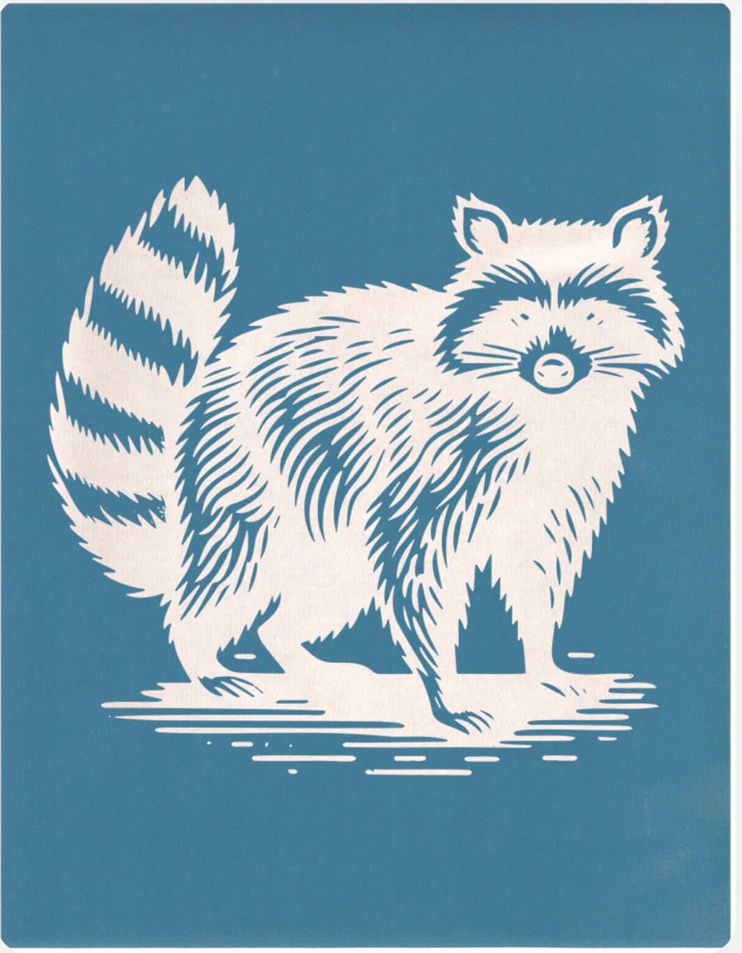 Raccoon - Small