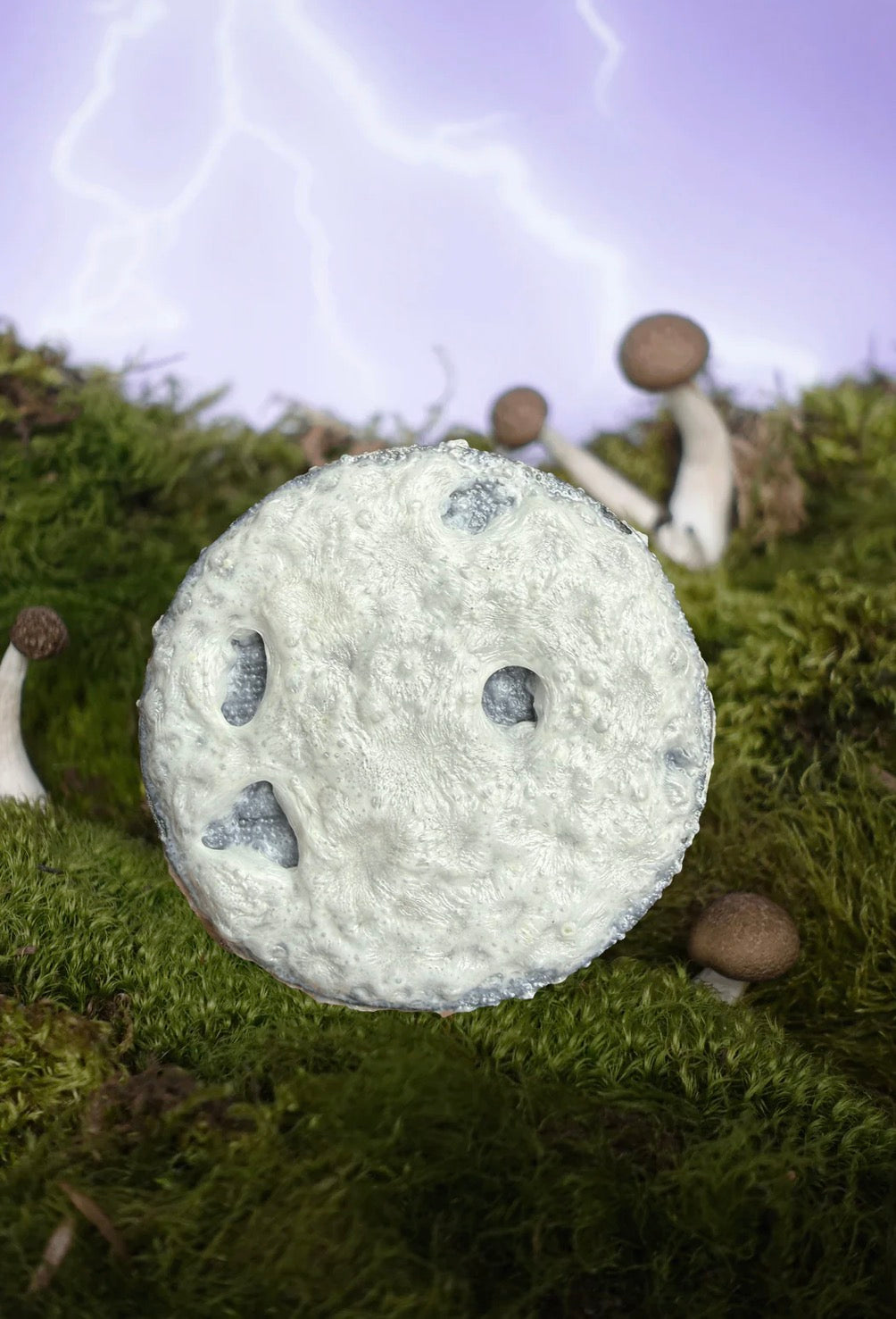 Lunar Crater