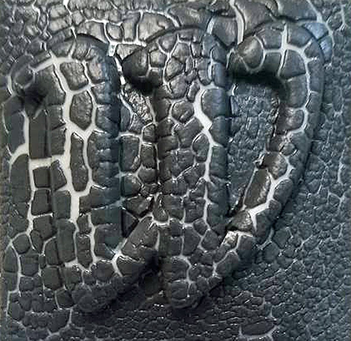 Volcanic Crust #4565