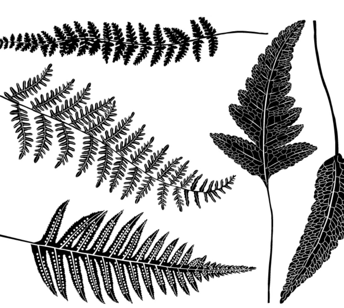 Fern Decals - Cone 017 - Gold Luster