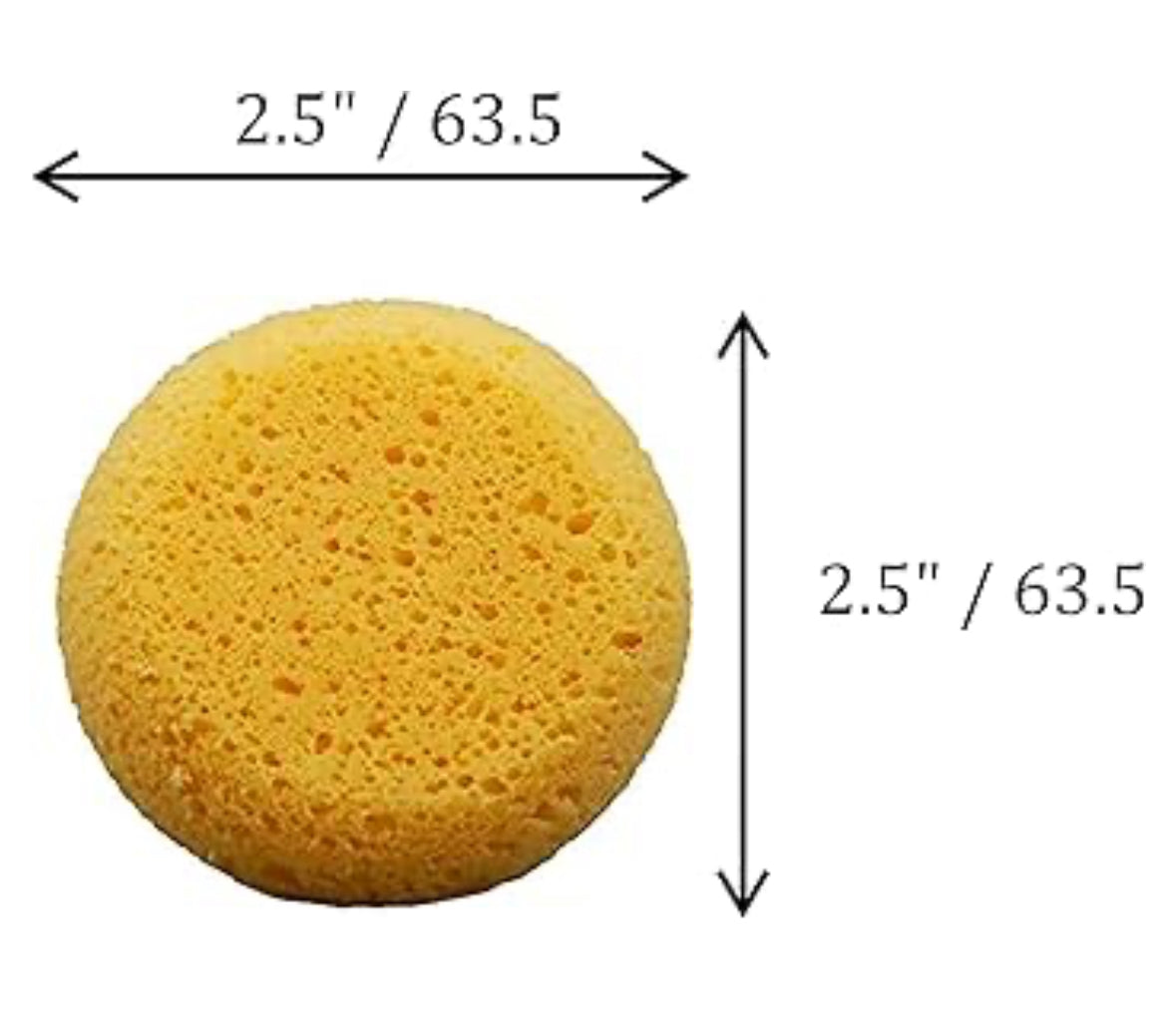 Small Sponge