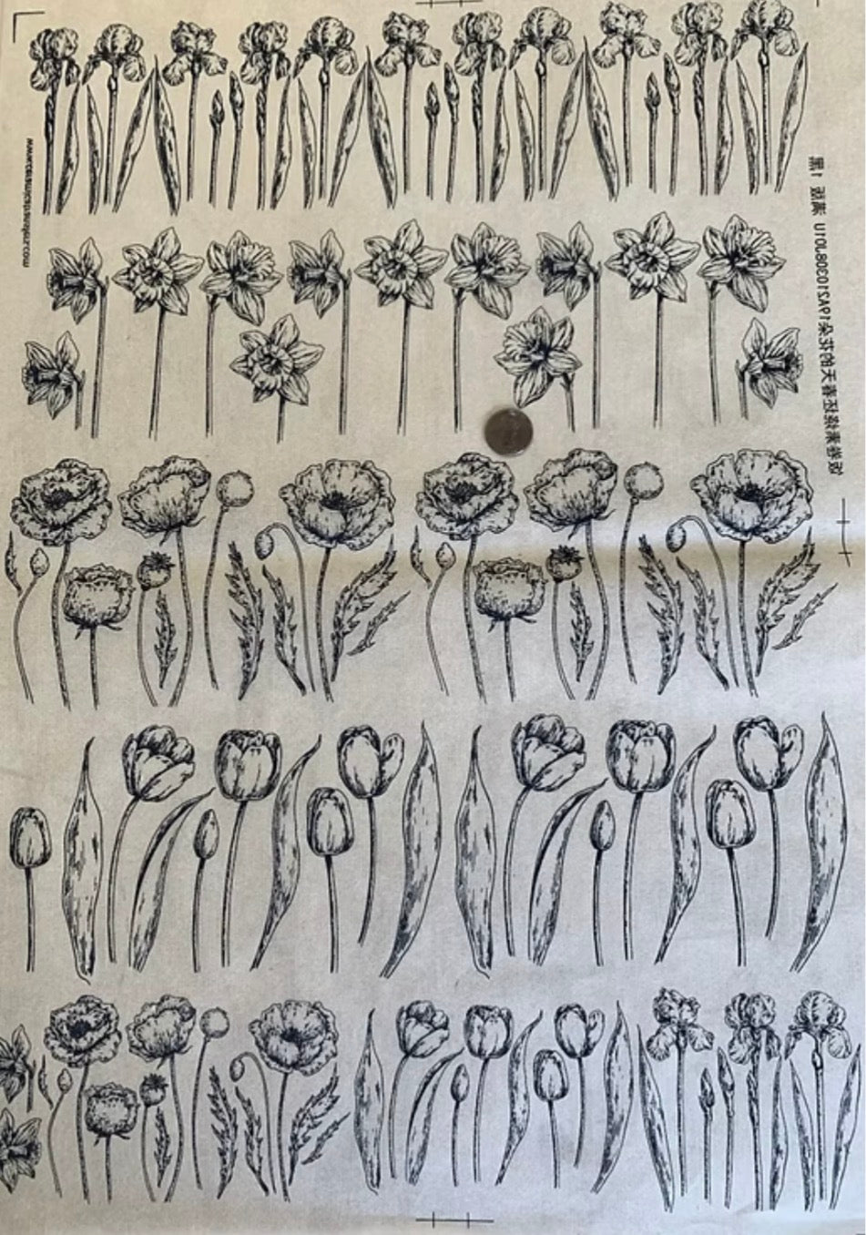 Spring Flowers