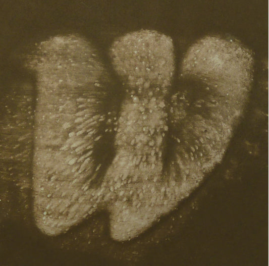 Terra Firma Wash OX-3