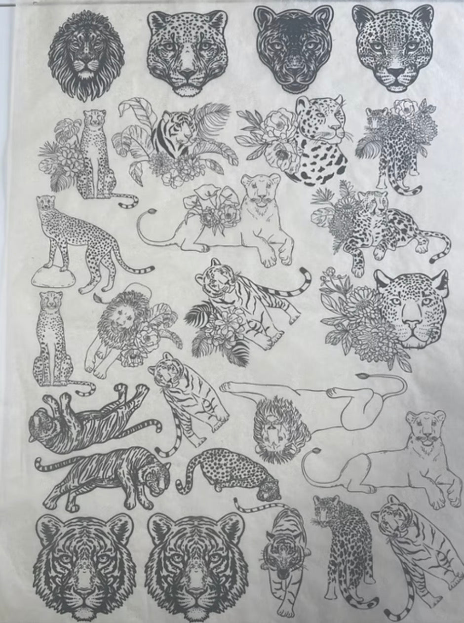 Big Cats