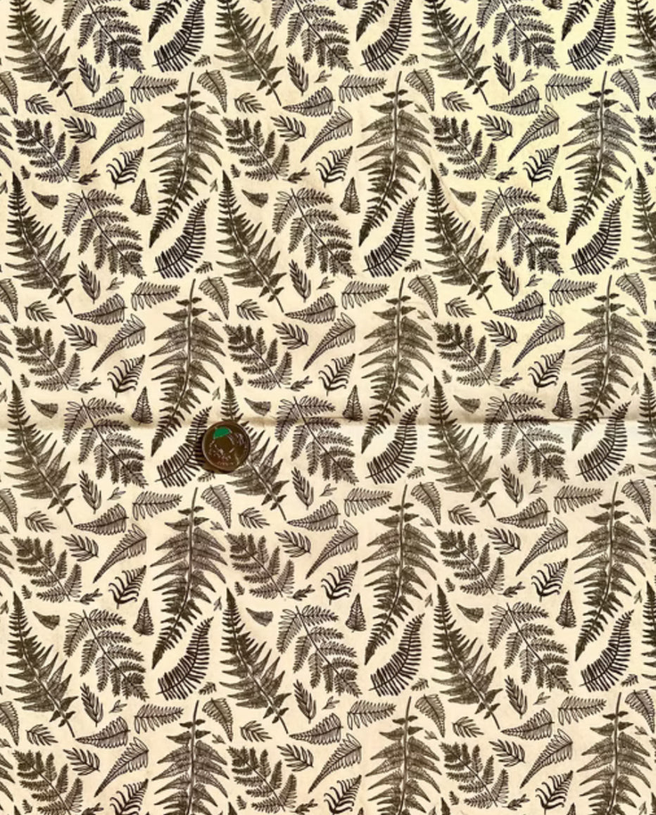 Ferns