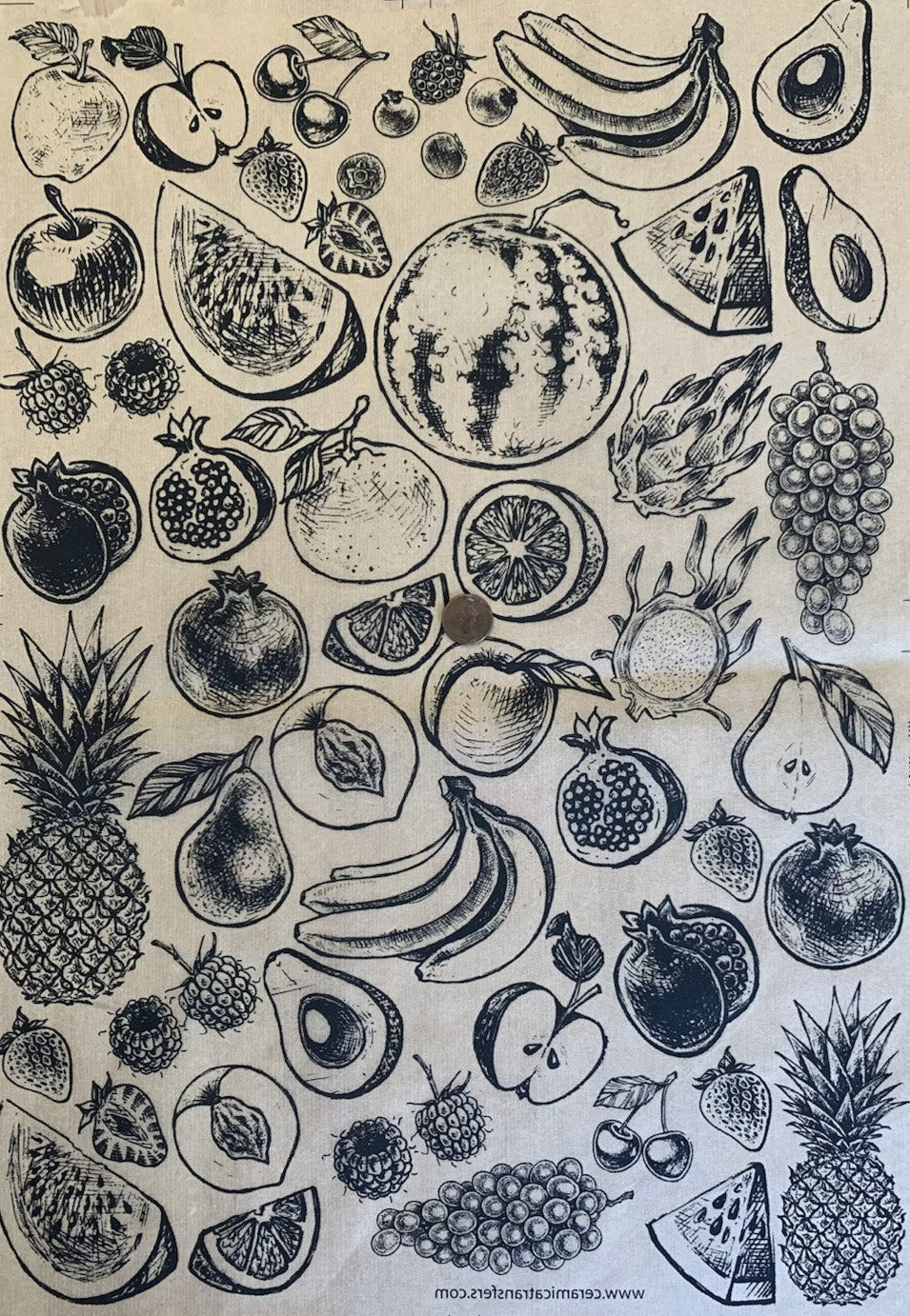 Fruit