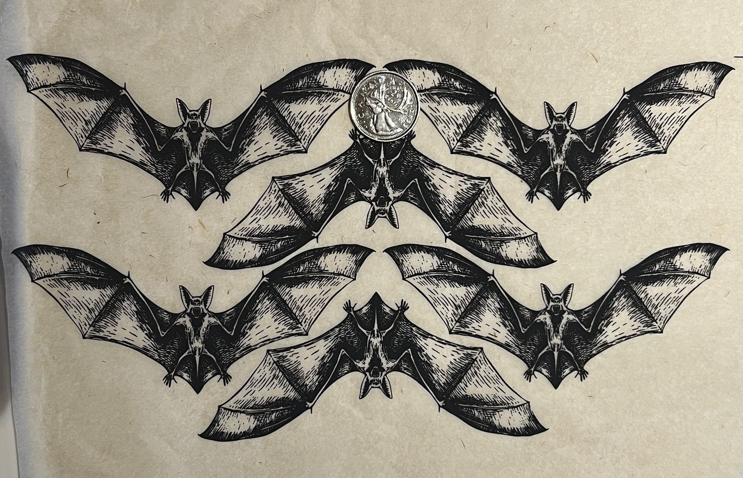Bats
