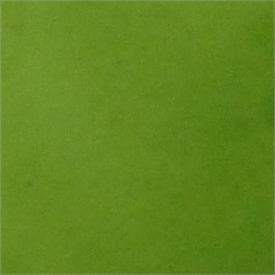 Light Green E119