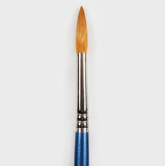 #8 Mayco Pointed Round