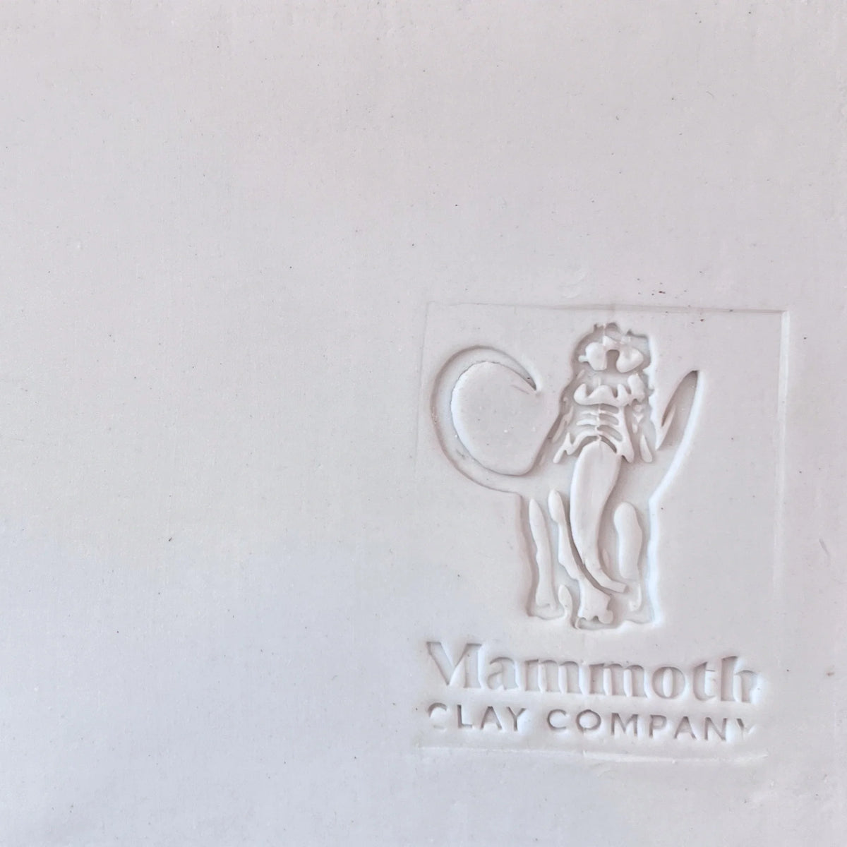 L&R Translucent Porcelain ∆6