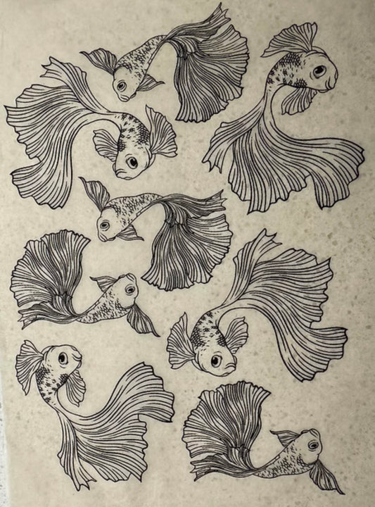 Fancy Fish