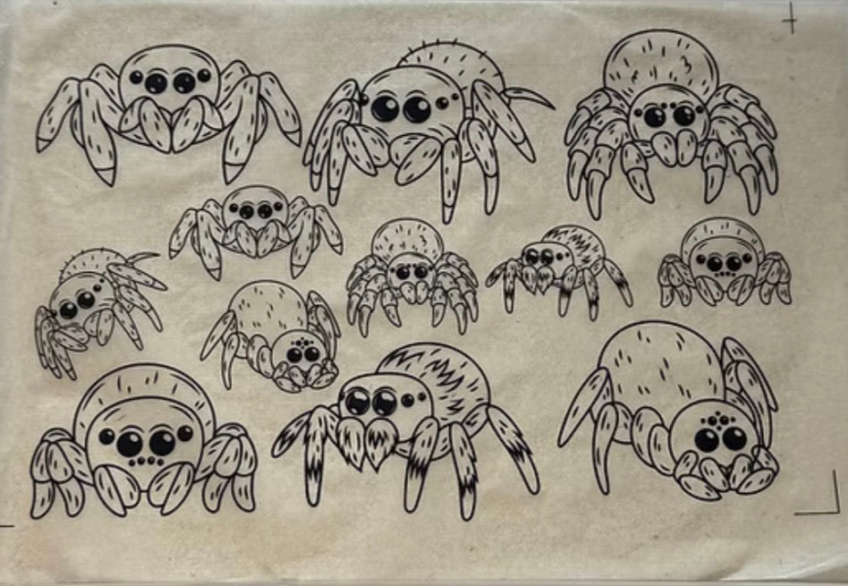Spiders