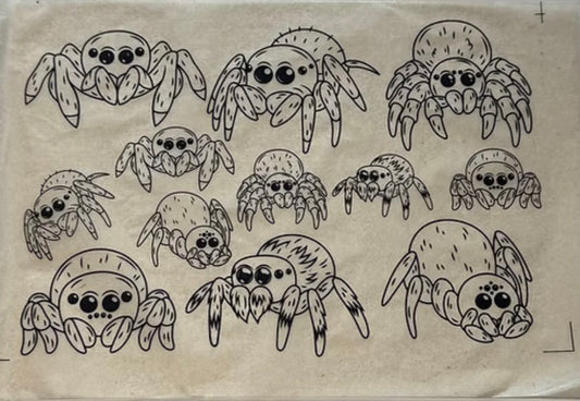 Spiders