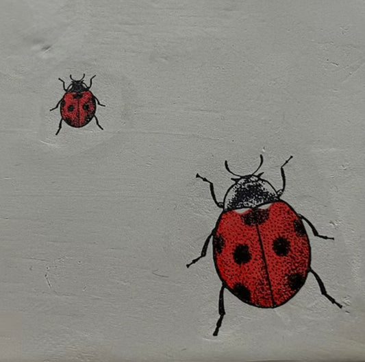 Lady Bugs