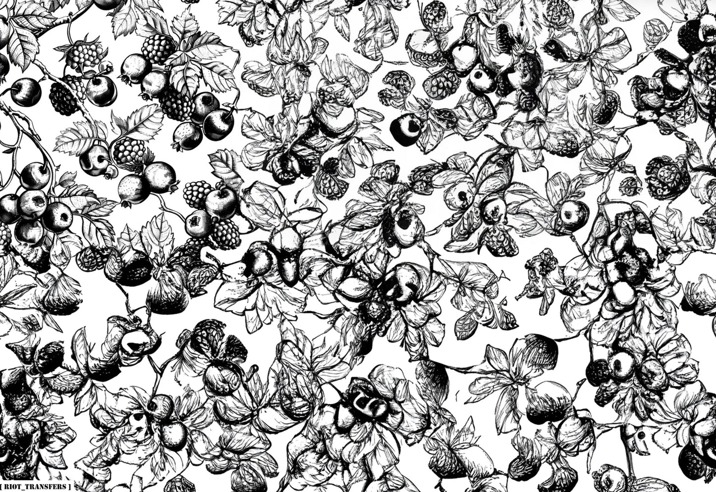 1 Berries Underglaze Transfer Sheet