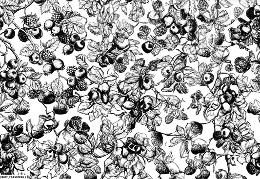 1 Berries Underglaze Transfer Sheet