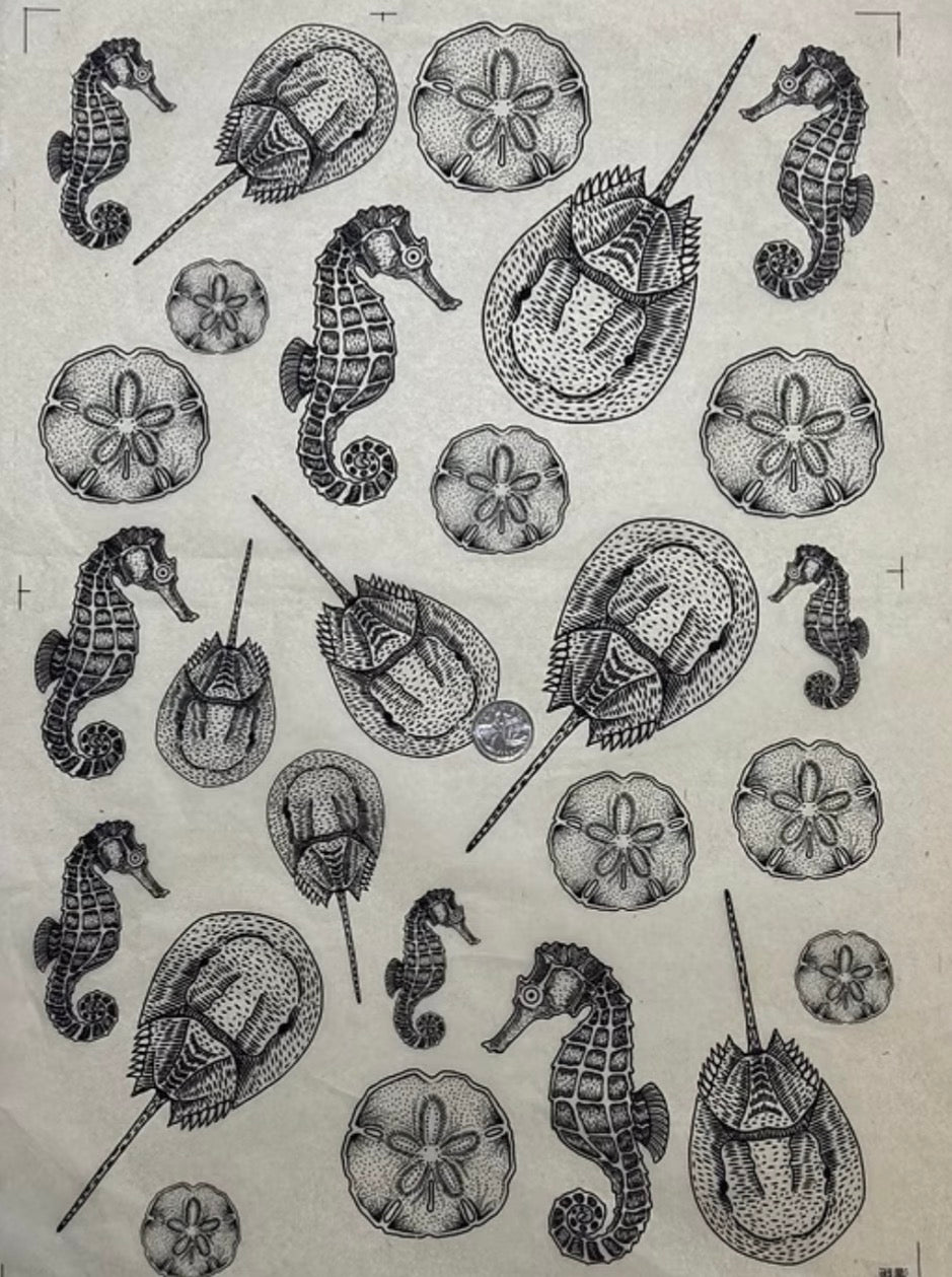 Sea Critters 1