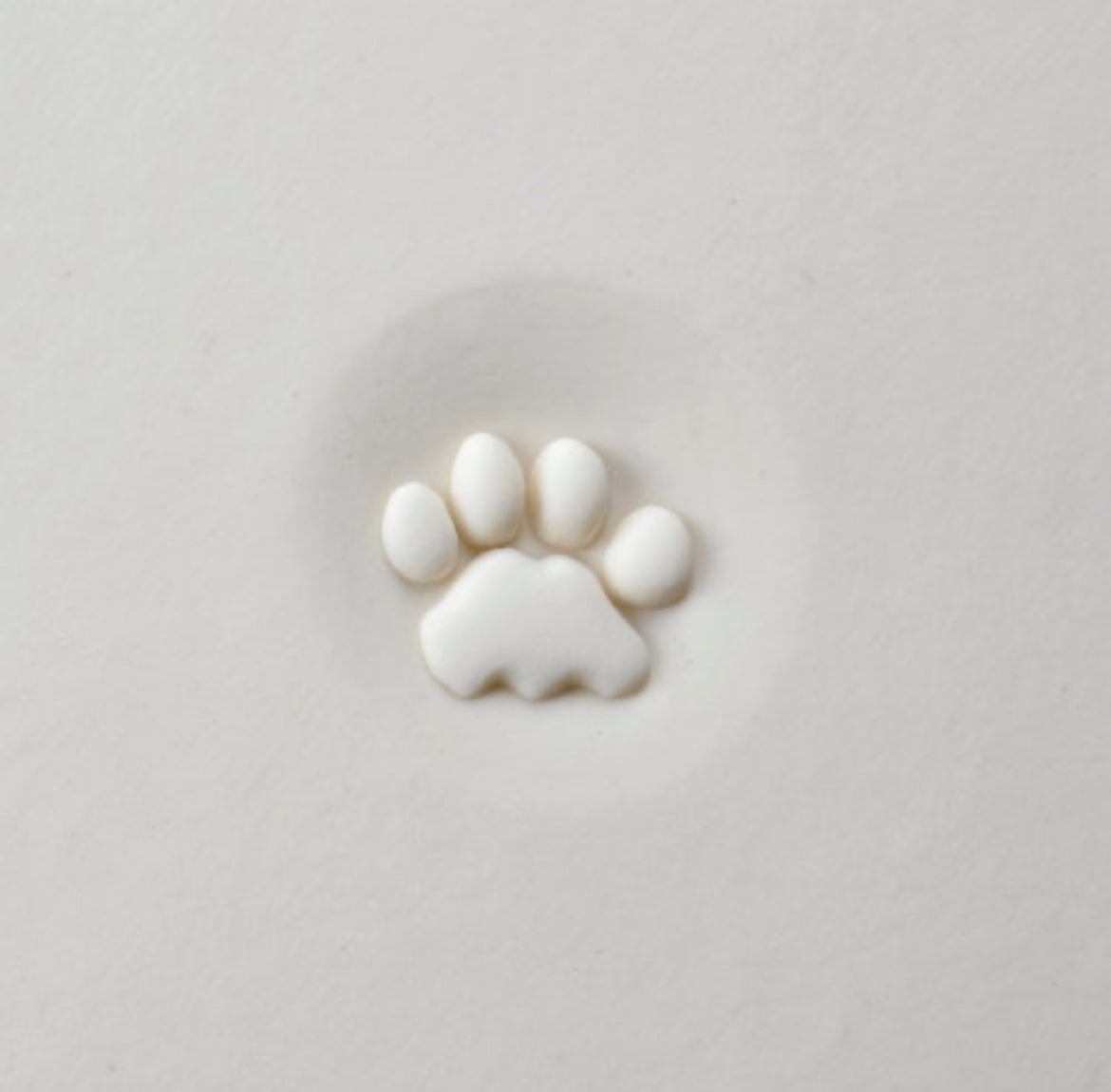 Cat Paw Print - Curved Top Stamp