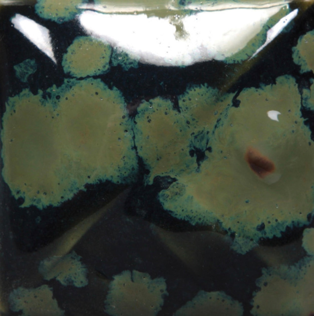Mayco SW151 Olive Float Pint