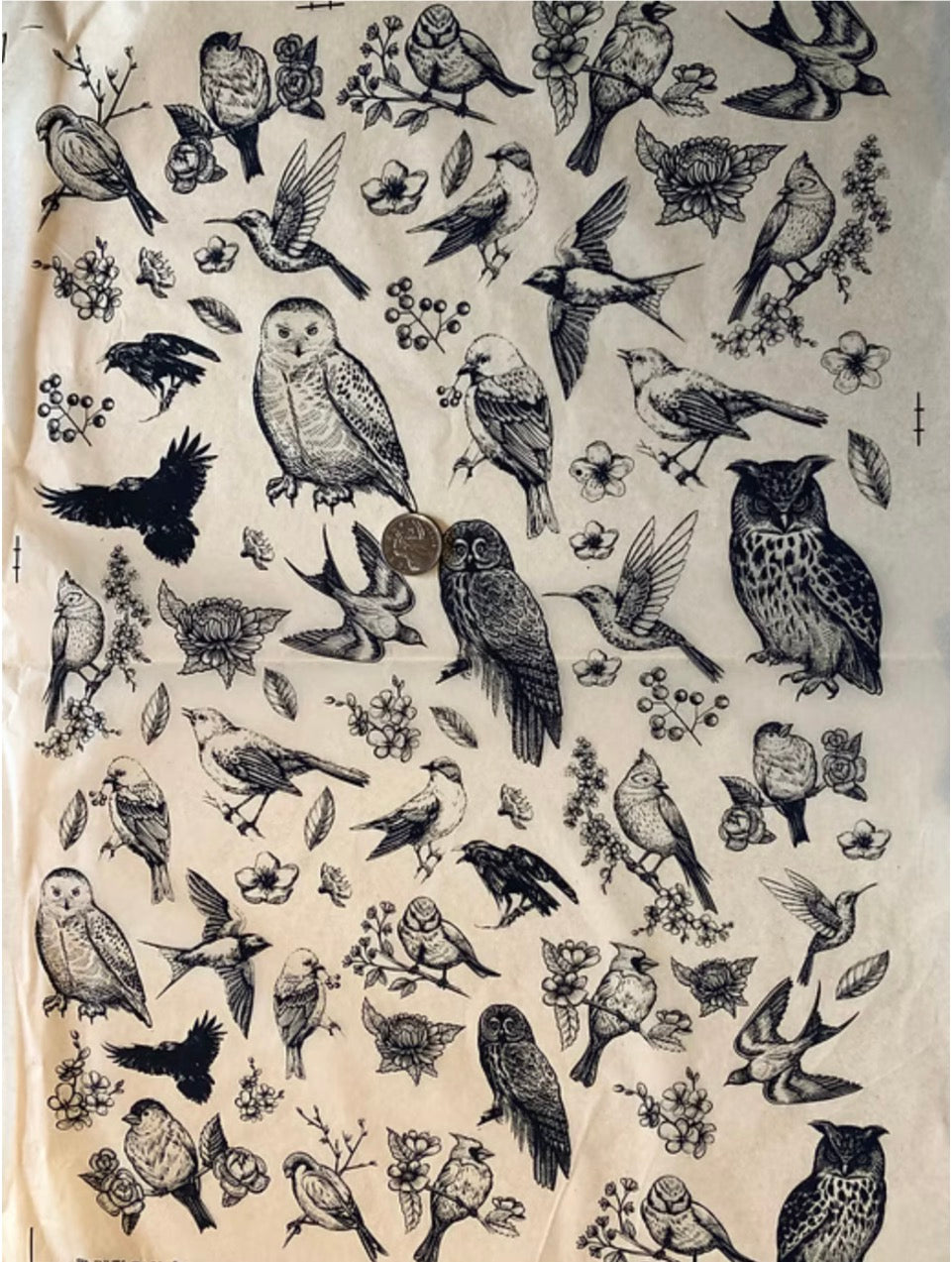 Woodland Birdies