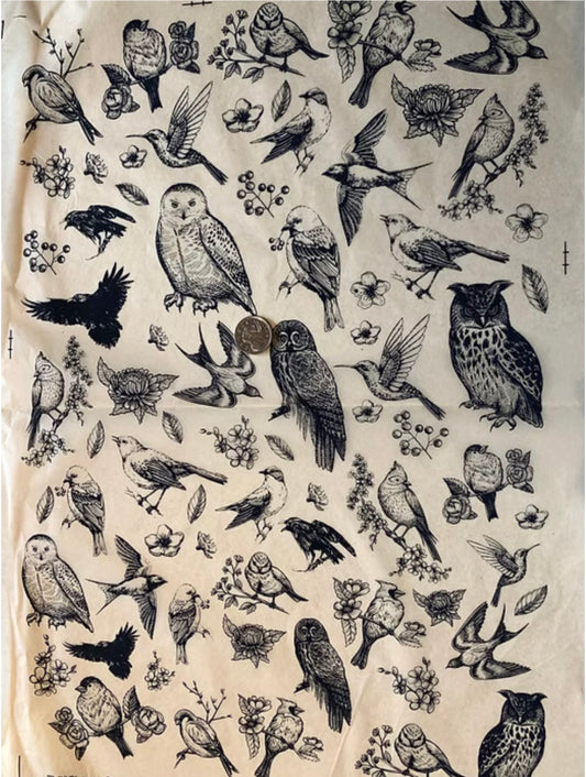 Woodland Birdies