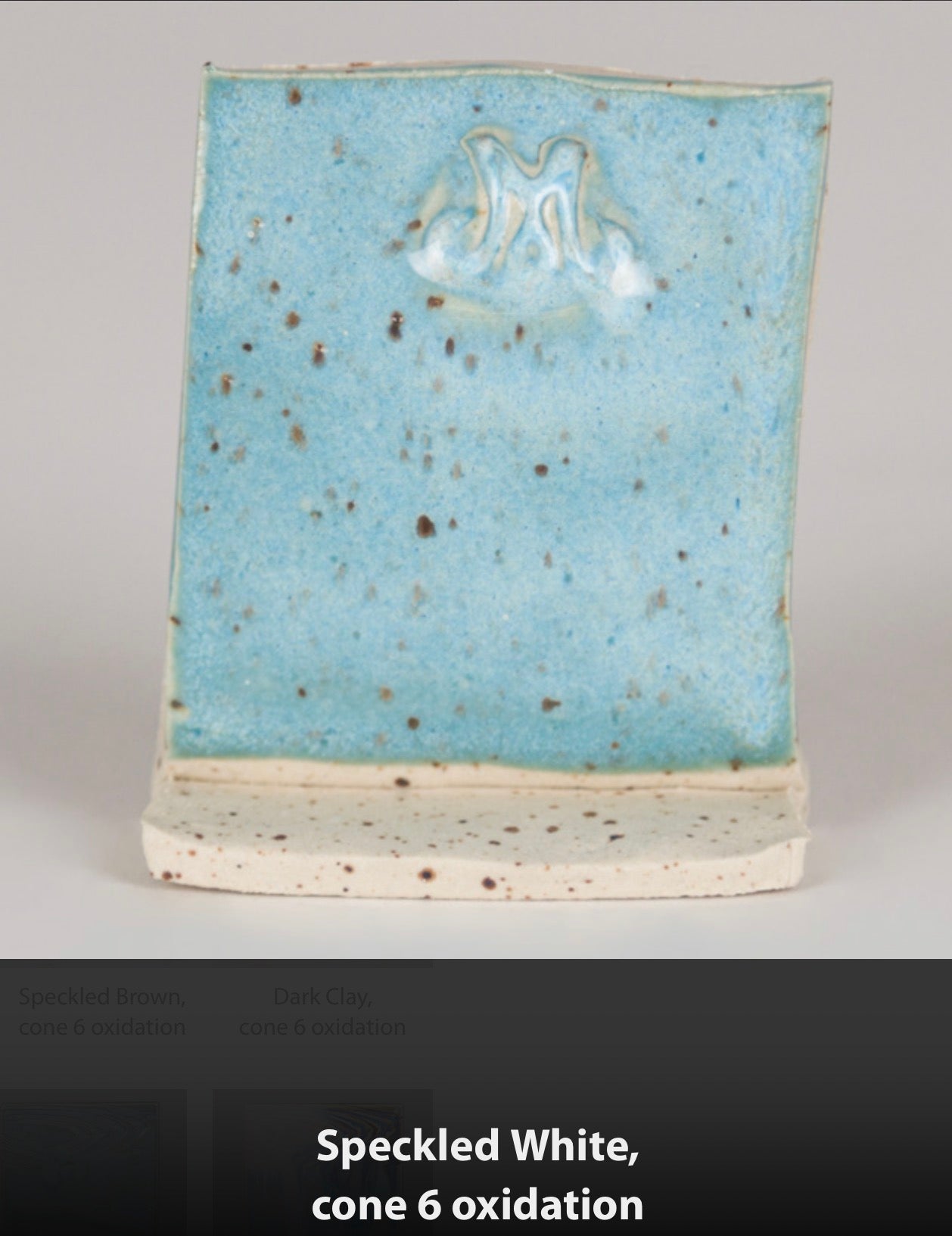 Mayco SW166 Norse Blue Pint