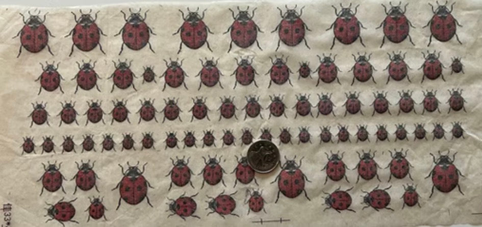 Lady Bugs