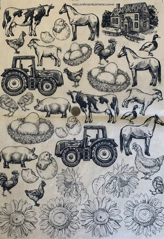 Life on the Farm