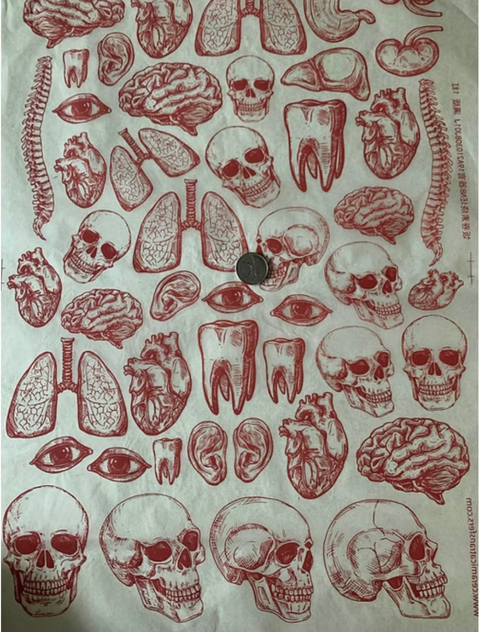 The Body