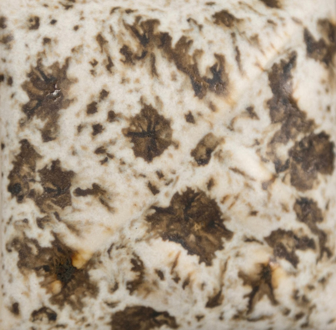 Mayco Winter Wood SW155