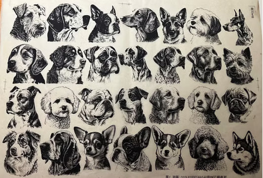 Fur Friends