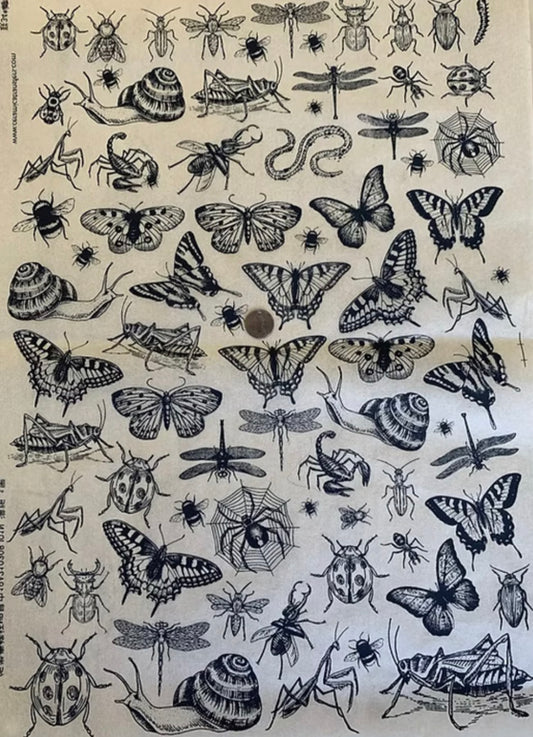 A Bug’s Life