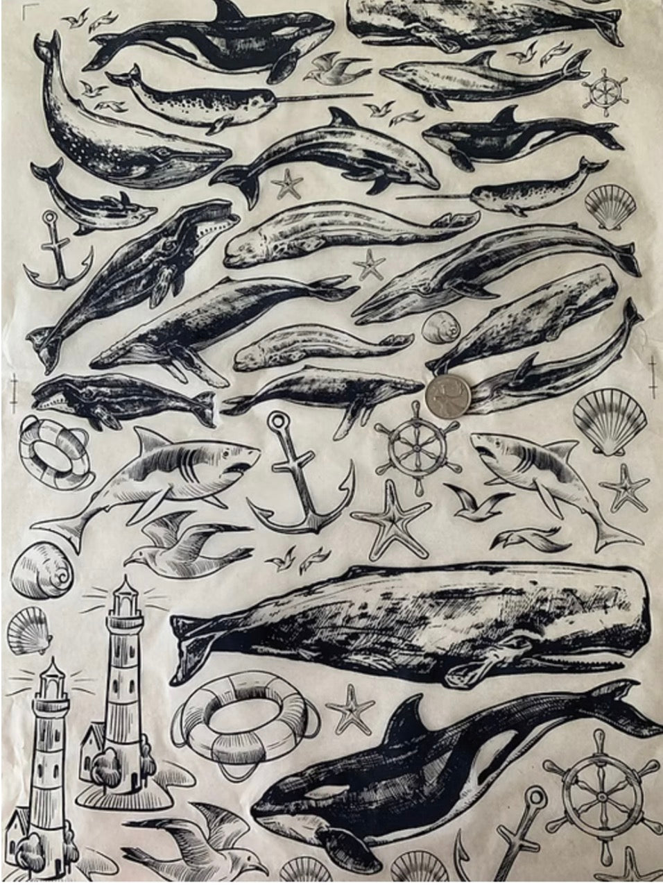 Whales