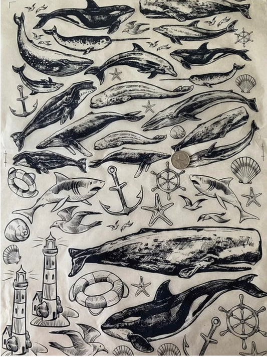 Whales