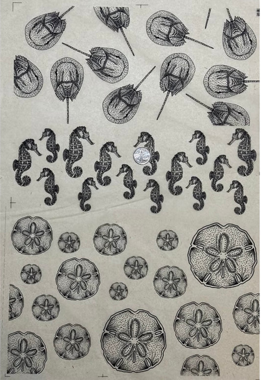 Sea Critters 2