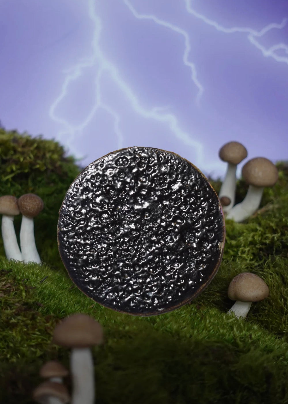 Metallic Meteor