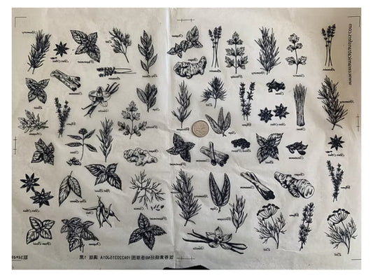 Herbs
