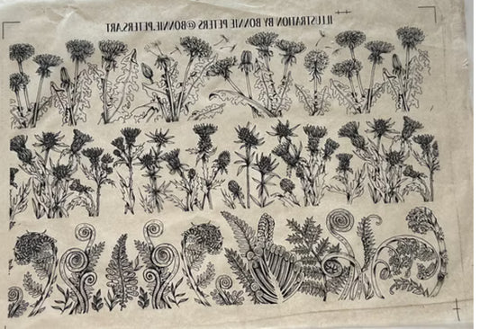 Meadow Drifters