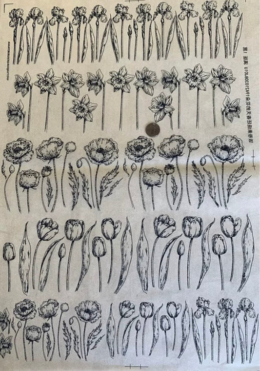 Spring Flowers