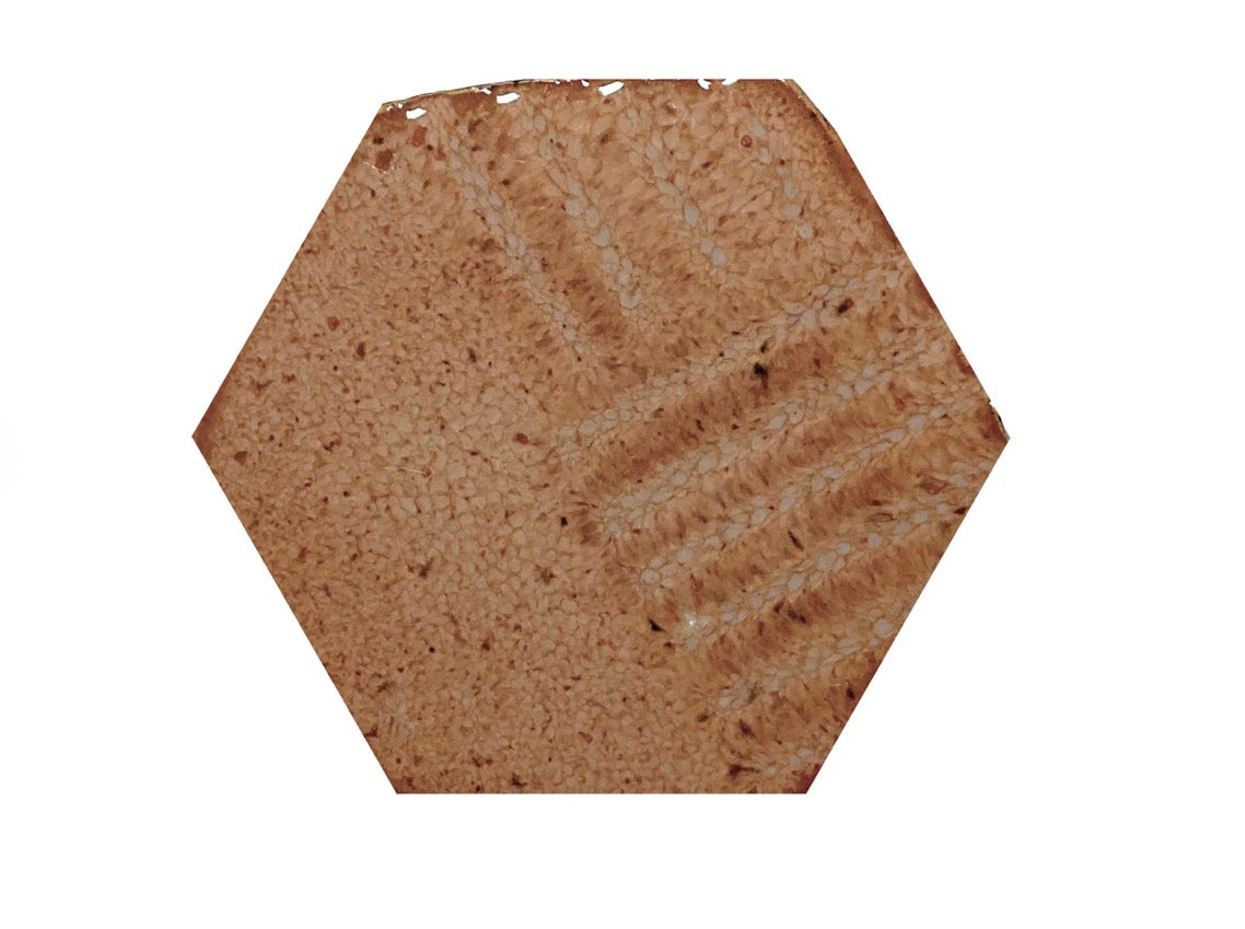 Creamy Shino ^6 Glaze - Pint