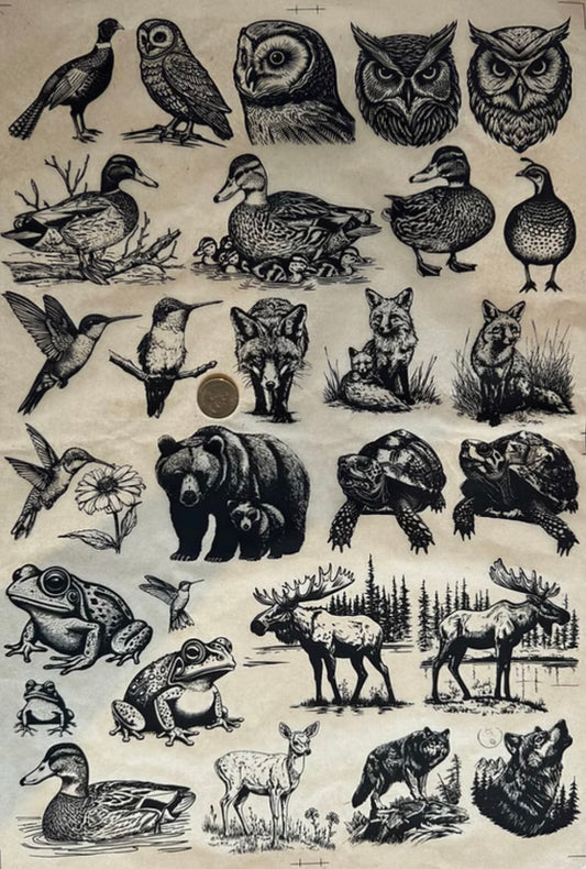 Animals & Family
