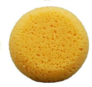 Small Sponge