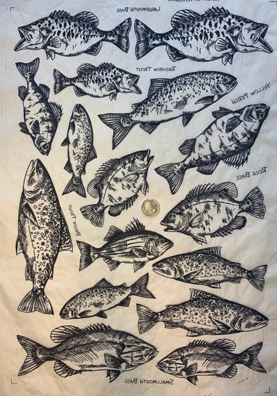Angler’s Dream 2