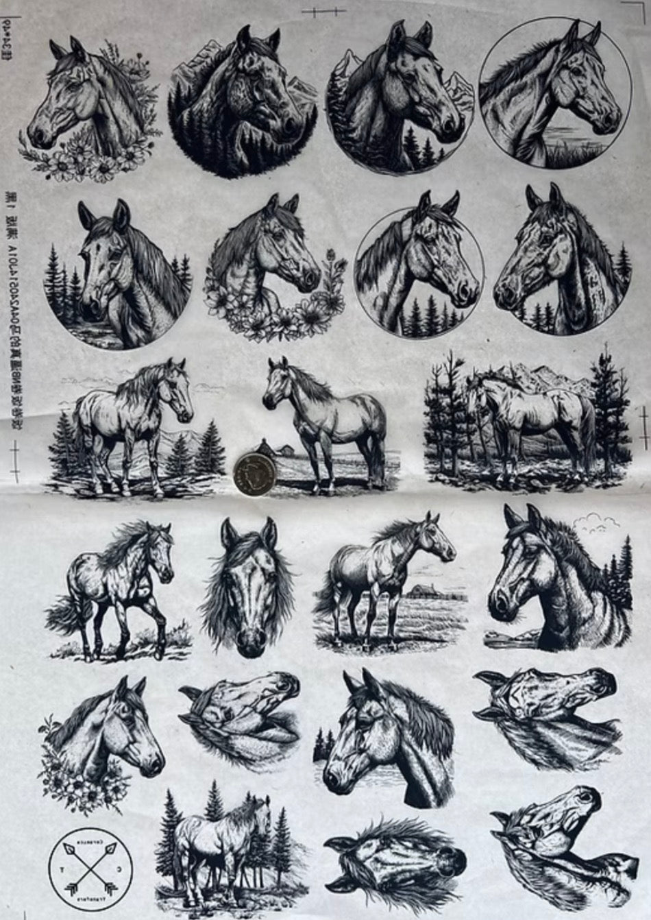 Equine Beauties