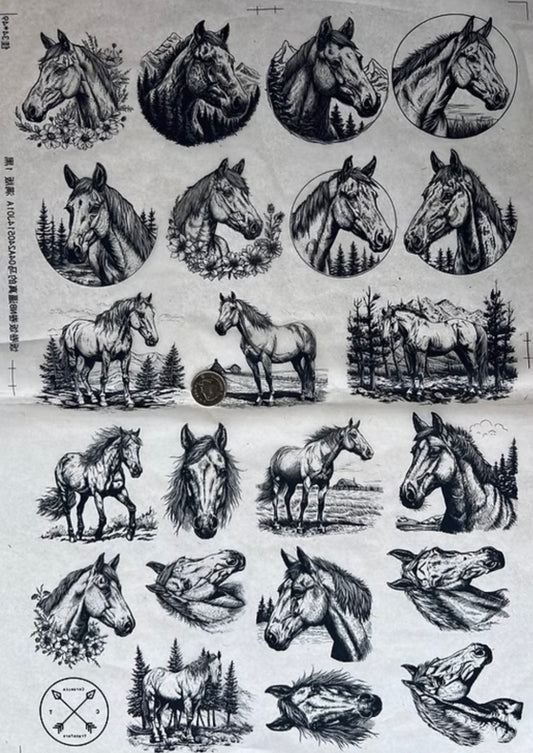 Equine Beauties