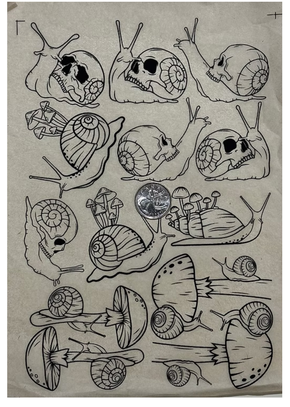 Snails